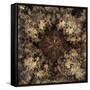 Metamorphic-Fractalicious-Framed Stretched Canvas