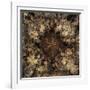 Metamorphic-Fractalicious-Framed Giclee Print