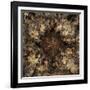 Metamorphic-Fractalicious-Framed Giclee Print