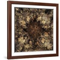 Metamorphic-Fractalicious-Framed Giclee Print