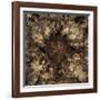 Metamorphic-Fractalicious-Framed Giclee Print