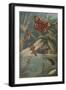 Metamorphoses, Life Cycle of Insects-Science Source-Framed Giclee Print