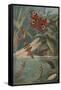 Metamorphoses, Life Cycle of Insects-Science Source-Framed Stretched Canvas