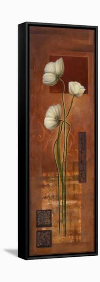 Metamorphosis IV-Patricia Pinto-Framed Stretched Canvas