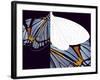 Metamorphosis of Iris-Belen Mena-Framed Giclee Print