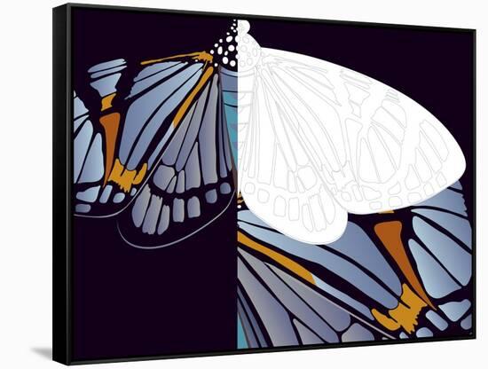 Metamorphosis of Iris-Belen Mena-Framed Stretched Canvas