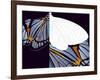 Metamorphosis of Iris-Belen Mena-Framed Giclee Print