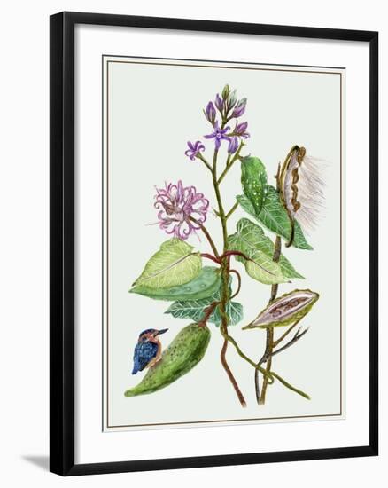 Metaplexis Japonica II-Melissa Wang-Framed Art Print