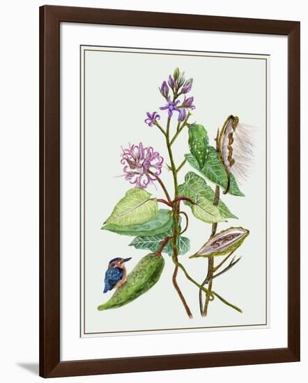 Metaplexis Japonica II-Melissa Wang-Framed Art Print