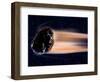 Meteor Coming at Earth-null-Framed Photographic Print