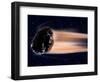 Meteor Coming at Earth-null-Framed Photographic Print