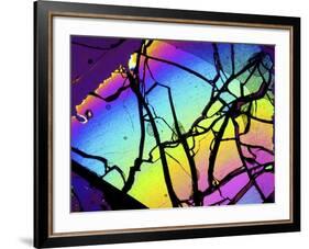 Meteor Jepara, Thin Section, Micrograph-PASIEKA-Framed Photographic Print