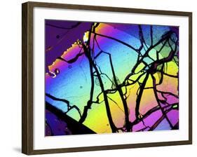 Meteor Jepara, Thin Section, Micrograph-PASIEKA-Framed Photographic Print