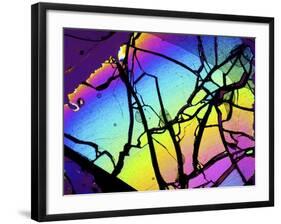 Meteor Jepara, Thin Section, Micrograph-PASIEKA-Framed Photographic Print