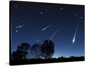 Meteor Shower, Artwork-Detlev Van Ravenswaay-Stretched Canvas