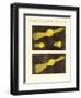 Meteor-null-Framed Giclee Print