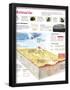 Essential Black