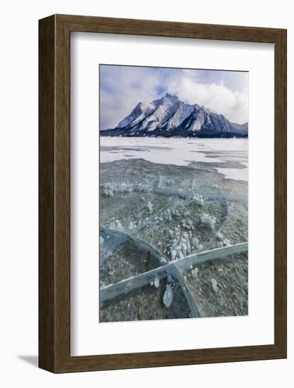 Methane bubbles frozen in ice, Abraham Lake, Alberta, Canada-Panoramic Images-Framed Photographic Print