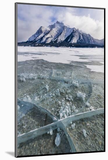 Methane bubbles frozen in ice, Abraham Lake, Alberta, Canada-Panoramic Images-Mounted Photographic Print