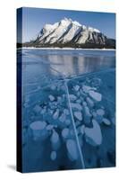 Methane bubbles frozen in ice below Mt. Michener, Abraham Lake, Alberta, Canada-Panoramic Images-Stretched Canvas
