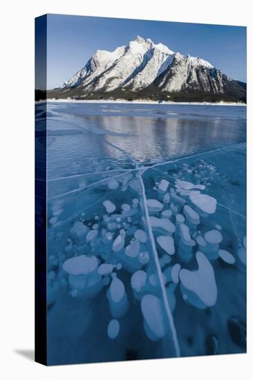 Methane bubbles frozen in ice below Mt. Michener, Abraham Lake, Alberta, Canada-Panoramic Images-Stretched Canvas