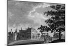 Wood Mount