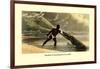 Method of Attacking the Crocodile-null-Framed Art Print