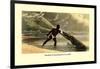 Method of Attacking the Crocodile-null-Framed Art Print