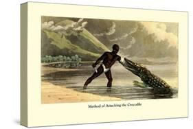 Method of Attacking the Crocodile-null-Stretched Canvas