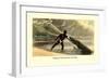 Method of Attacking the Crocodile-null-Framed Art Print