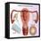 Methods of Female Birth Control-Gwen Shockey-Framed Stretched Canvas