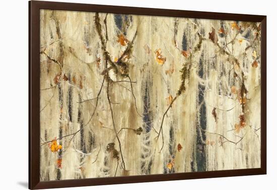 Methuselah's Beard Lichen on Maple Tree, Olympic NP, Washington, USA-Jaynes Gallery-Framed Photographic Print