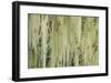 Methuselahs Beard-Don Paulson-Framed Giclee Print