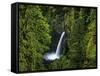 Metlako Falls Along Eagle Creek in the Mount Hood National Forest, Oregon, USA-Chuck Haney-Framed Stretched Canvas