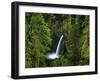 Metlako Falls Along Eagle Creek in the Mount Hood National Forest, Oregon, USA-Chuck Haney-Framed Photographic Print