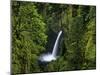 Metlako Falls Along Eagle Creek in the Mount Hood National Forest, Oregon, USA-Chuck Haney-Mounted Photographic Print