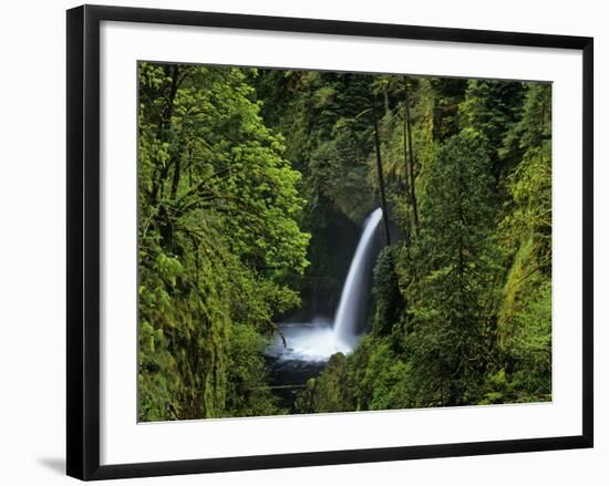 Metlako Falls Along Eagle Creek in the Mount Hood National Forest, Oregon, USA-Chuck Haney-Framed Photographic Print