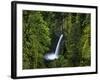 Metlako Falls Along Eagle Creek in the Mount Hood National Forest, Oregon, USA-Chuck Haney-Framed Photographic Print
