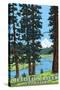 Metolius River Headwaters, Oregon - Lantern Press Original Poster-Lantern Press-Stretched Canvas