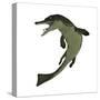 Metriorhynchus, an Extinct Genus of Crocodyliform from the Jurassic Period-null-Stretched Canvas