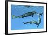 Metriorhynchus Marine Reptiles Try to Capture a Coelacanth Fish-null-Framed Art Print