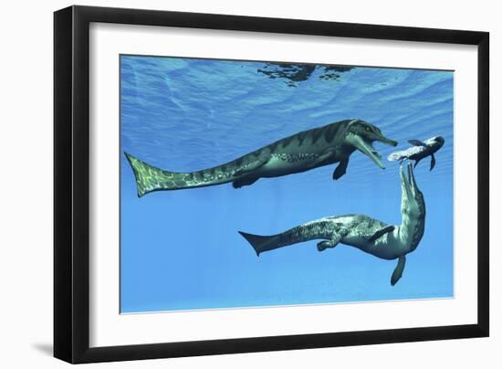 Metriorhynchus Marine Reptiles Try to Capture a Coelacanth Fish-null-Framed Art Print