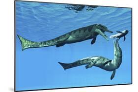 Metriorhynchus Marine Reptiles Try to Capture a Coelacanth Fish-null-Mounted Art Print