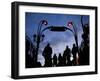 Metro Entrance, Montmartre, Paris, France-Neil Farrin-Framed Photographic Print