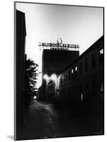 Metro Goldwyn Mayer Film Studios-null-Mounted Photographic Print