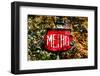 Metro Sign, Paris, France-null-Framed Photographic Print