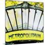 Metropolitain Entrance-Tosh-Mounted Art Print