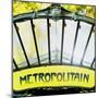 Metropolitain Entrance-Tosh-Mounted Art Print