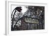 Metropolitain Sign and Entrance to the Paris Metro, Paris, France, Europe-Matthew Frost-Framed Photographic Print