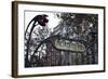 Metropolitain Sign and Entrance to the Paris Metro, Paris, France, Europe-Matthew Frost-Framed Photographic Print